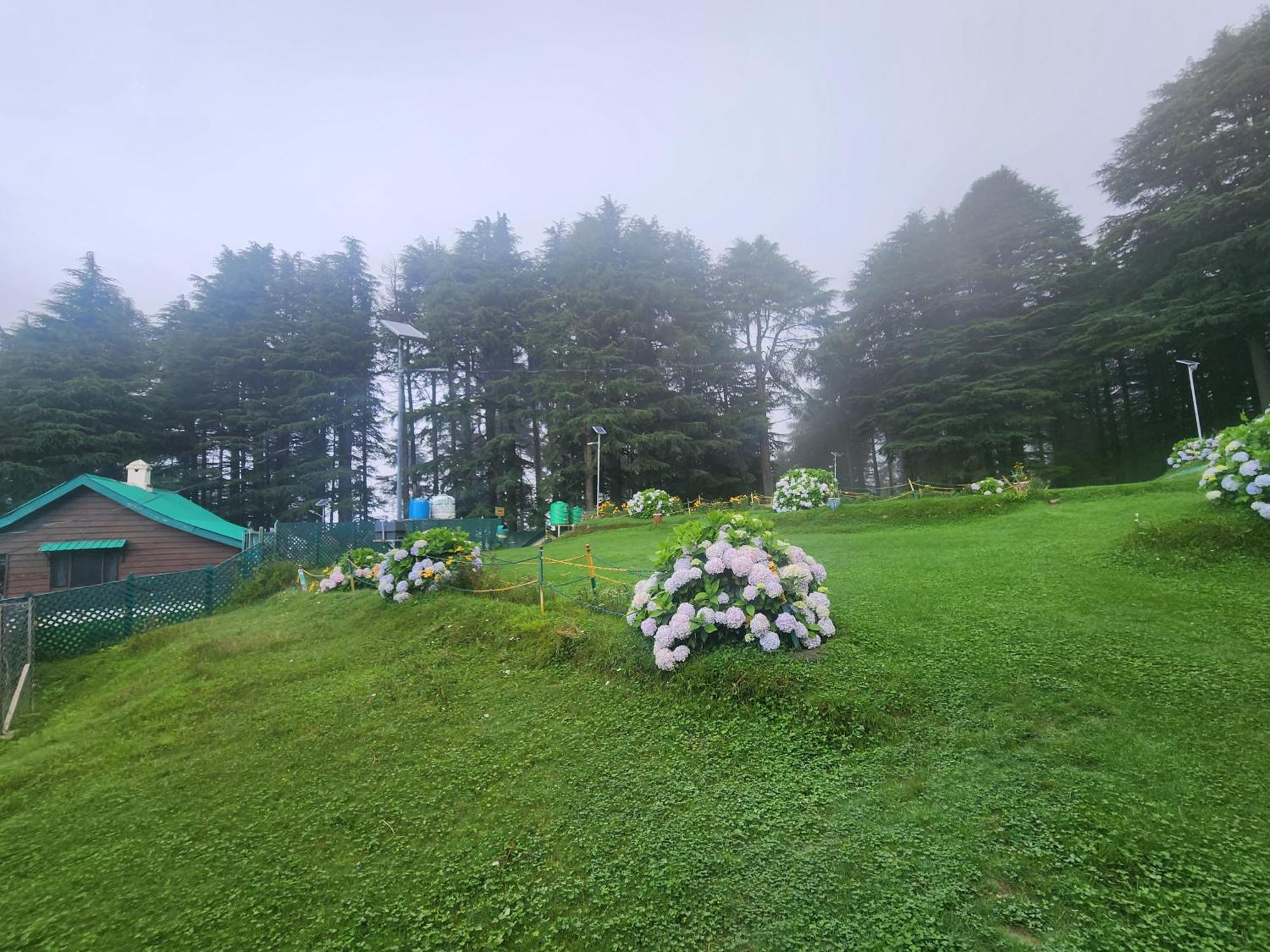 Smart Hill Kalatop Hotell Dalhousie Exteriör bild