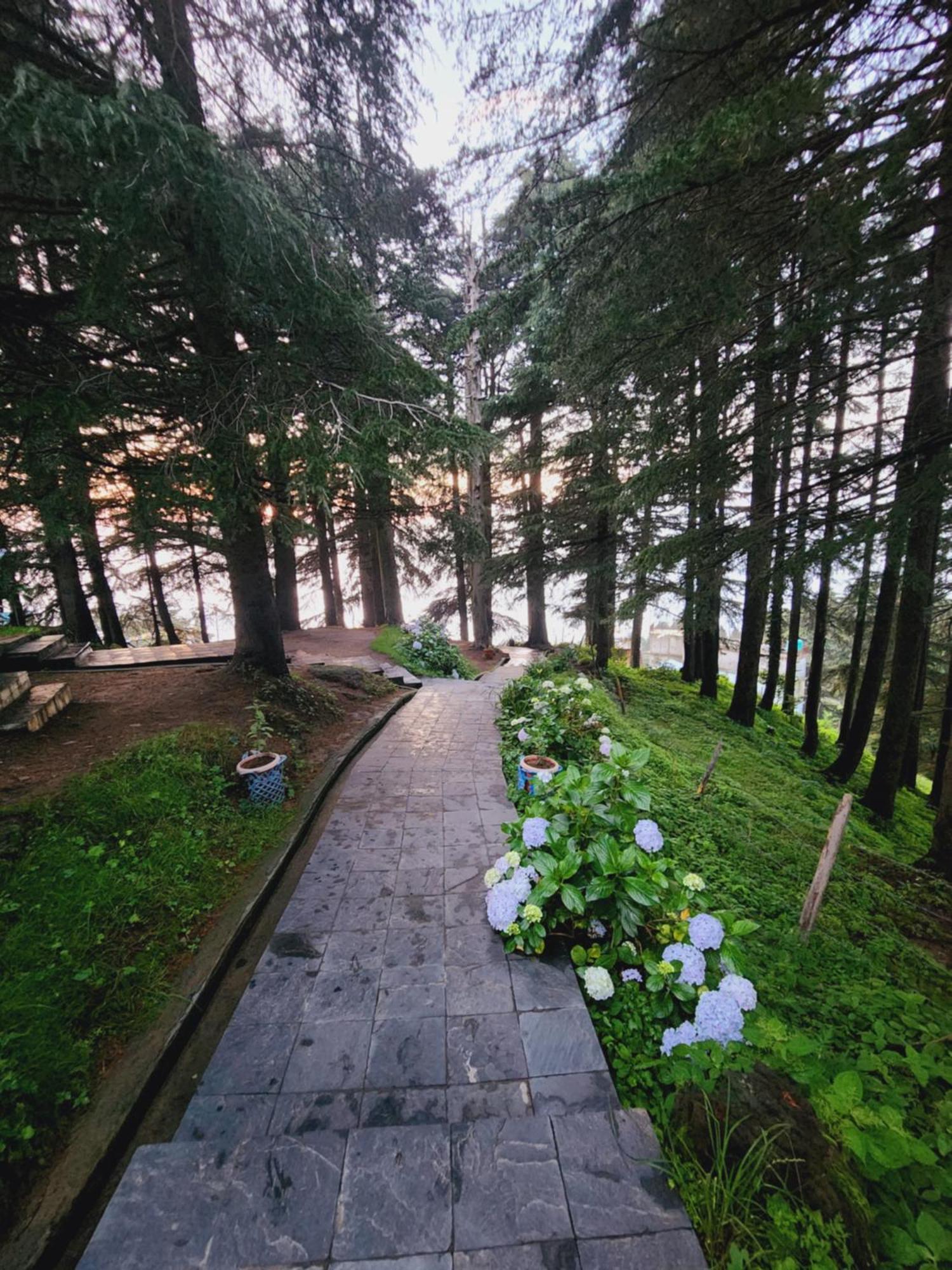 Smart Hill Kalatop Hotell Dalhousie Exteriör bild